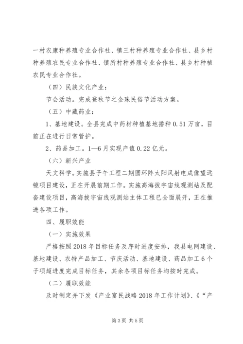 产业富民工作自查报告.docx