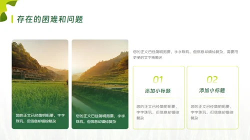 乡村振兴项目工作报告通用PPT模板