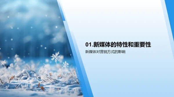大雪节气新媒体策略
