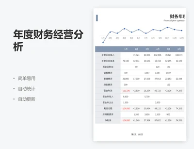 年度财务经营分析