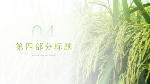 绿色农业生产春耕三农乡村振兴稻田水稻PPT