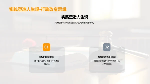 法学实践深度解析