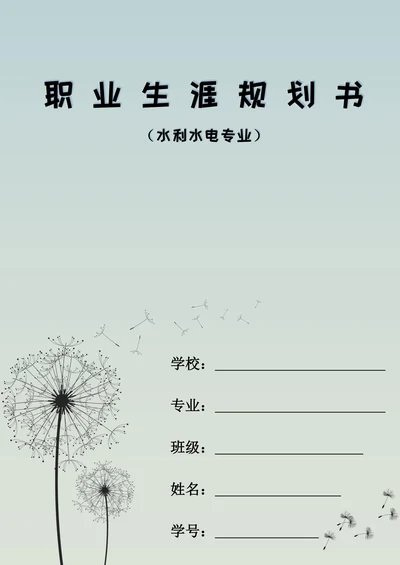 水利专业职业生涯规划书