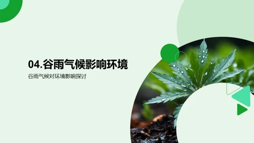谷雨节气与环保