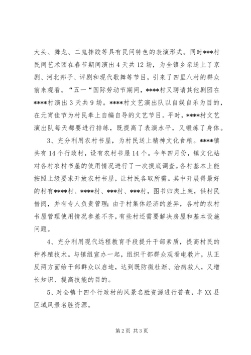 乡镇文化站半年工作总结.docx