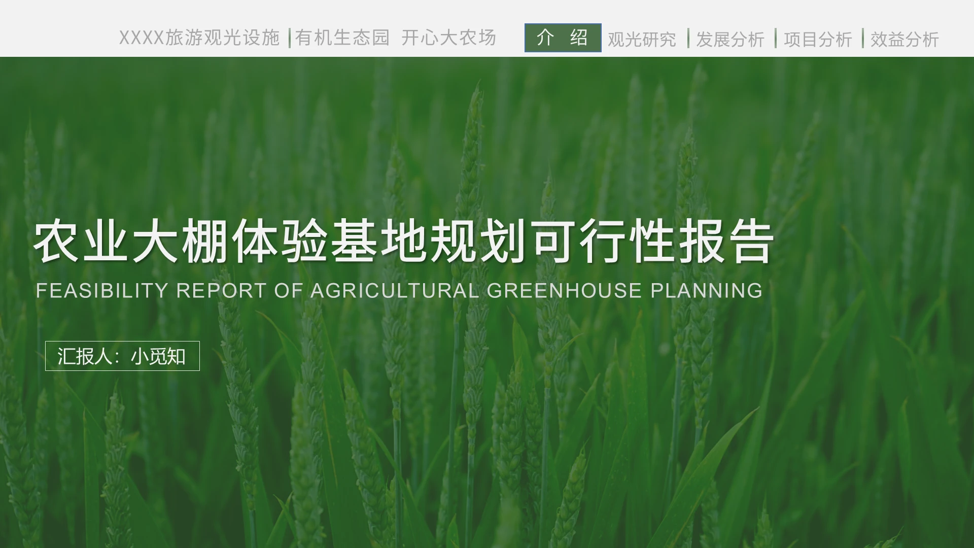 绿色商务简约风农业大棚体验基地规划可行性报告PPT可行性报告ppt