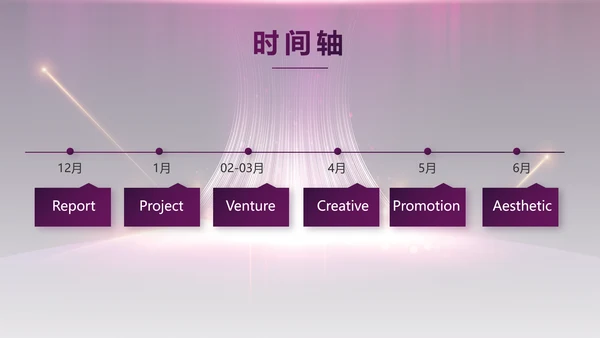 紫色公司品牌发布会策划方案工作总结PPT