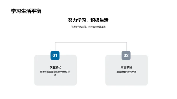 同窗共筑美好篇章