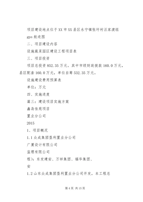 项目建设实施方案(提纲) (2).docx