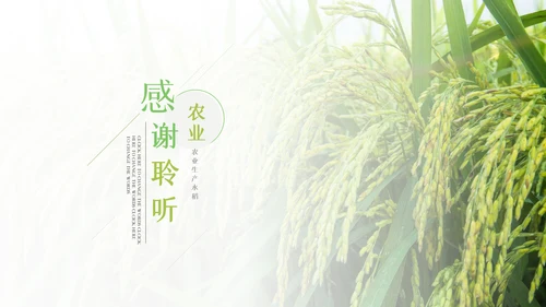 绿色农业生产春耕三农乡村振兴稻田水稻PPT