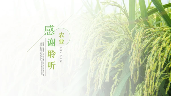 绿色农业生产春耕三农乡村振兴稻田水稻PPT