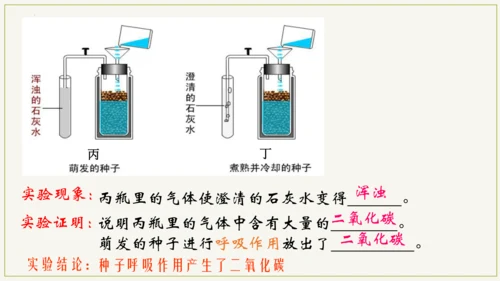 3.5.2 绿色植物的呼吸作用（课件）七年级生物上学期（人教版）(共32张PPT)