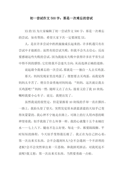 初一尝试作文500字：那是一次难忘的尝试.docx