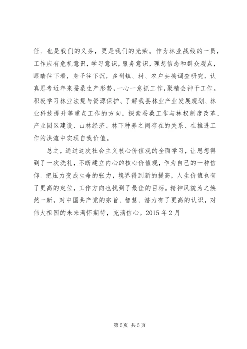 学习《社会主义核心价值观》学习心得.docx