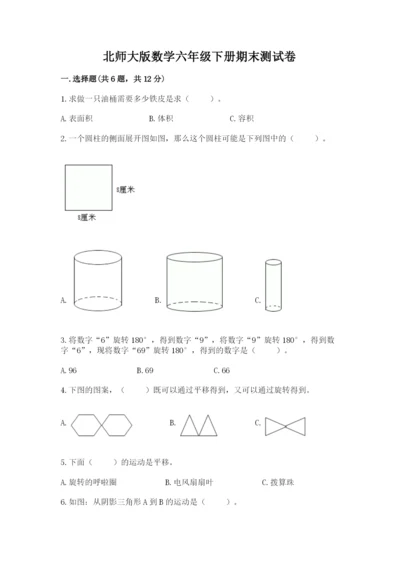 北师大版数学六年级下册期末测试卷【考点提分】.docx