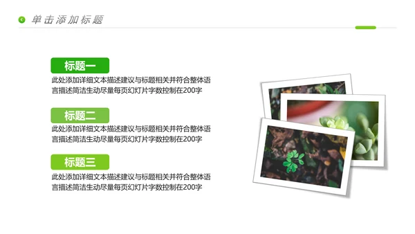 唯美绿色植物生长发芽敬畏生命PPT模板