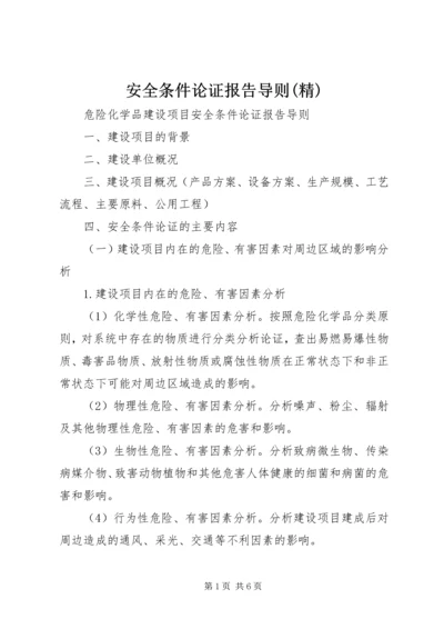 安全条件论证报告导则(精) (2).docx