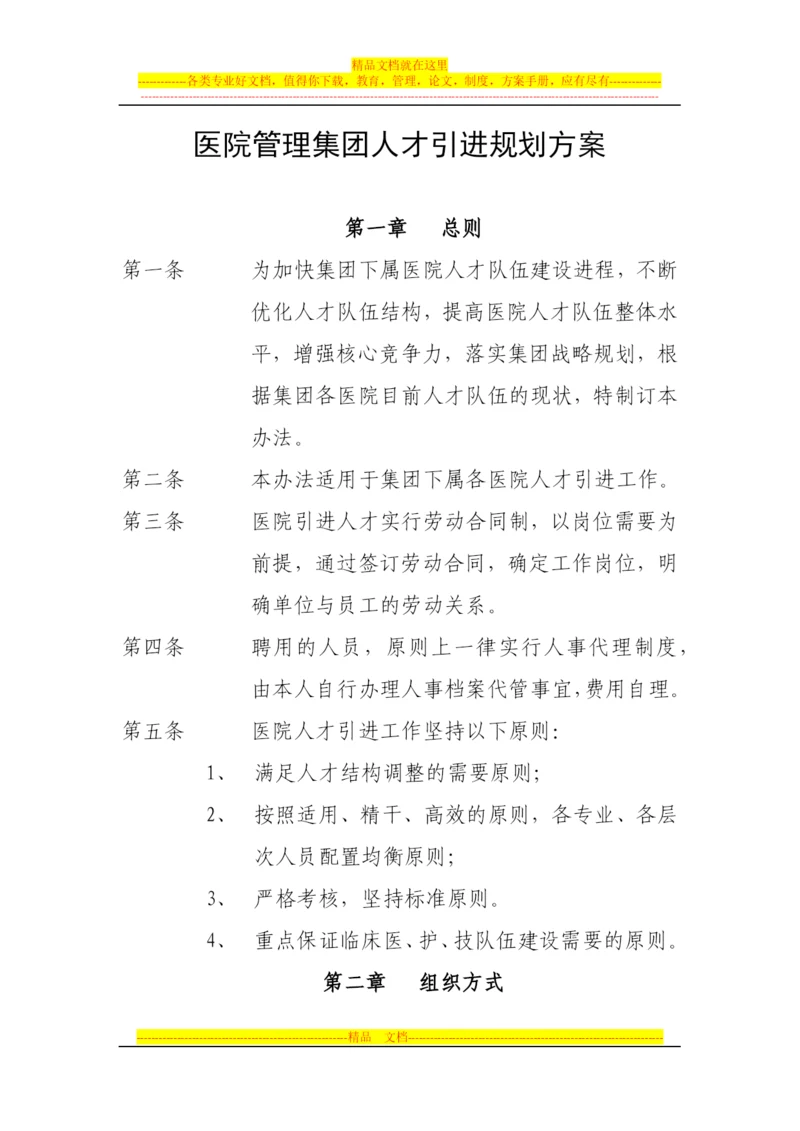 某医院管理集团人才引进规划方案.docx