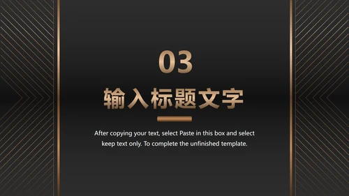 黑金商务项目总结PPT模板