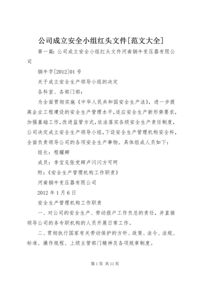 公司成立安全小组红头文件[范文大全].docx