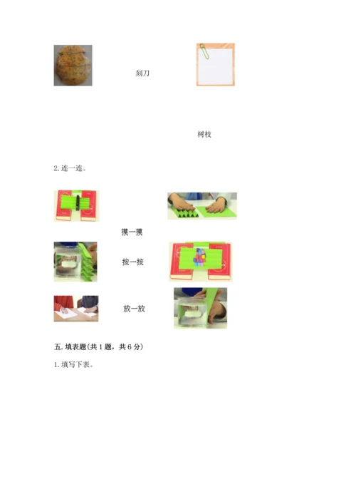教科版科学二年级上册《期末测试卷》加下载答案.docx