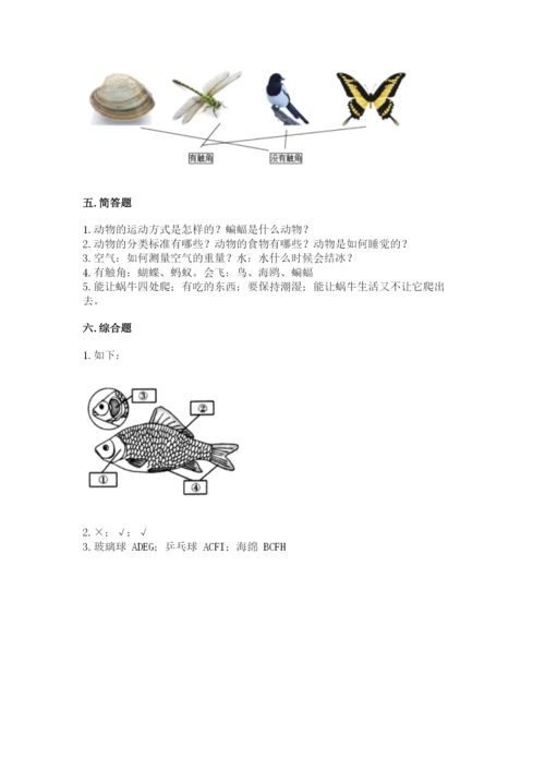 教科版一年级下册科学期末测试卷附答案【轻巧夺冠】.docx