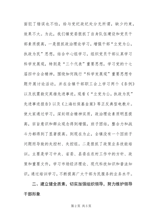 乡镇年终廉政建设工作报告.docx