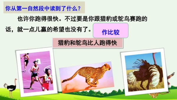 7 什么比猎豹的速度更快 第二课时 课件