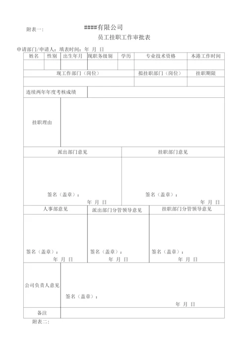 事业单位人员挂帅集体经济公司方案.docx
