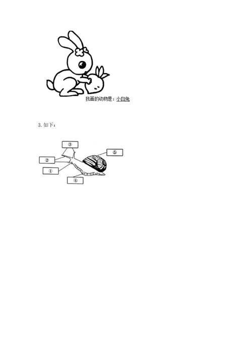 教科版科学一年级下册第二单元《动物》测试卷附参考答案（研优卷）