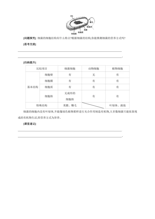 5.4.2细菌【2024秋人教八上生物精彩课堂（素材+教案+导学案）】
