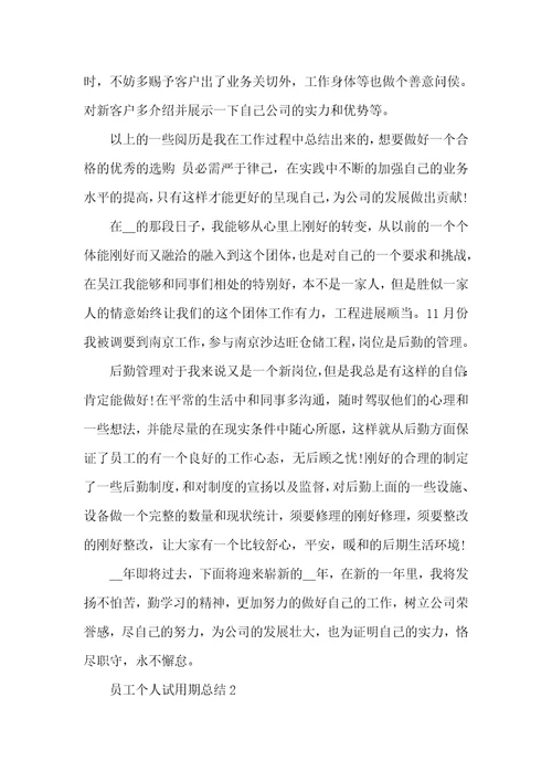 员工个人试用期总结文本20222023