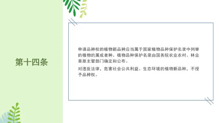 普法全文学习2025年4月新修订《中华人民共和国植物新品种保护条例》PPT课件