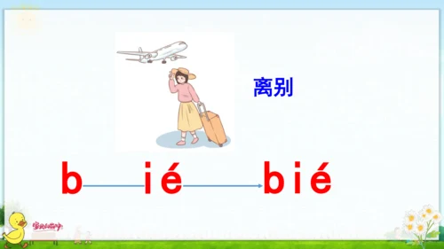 汉语拼音11  ie  üe  er 课件