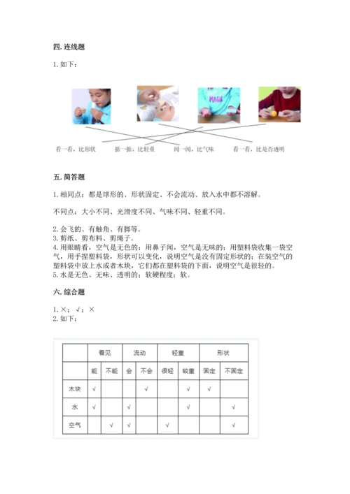 教科版一年级下册科学期末测试卷精品（巩固）.docx