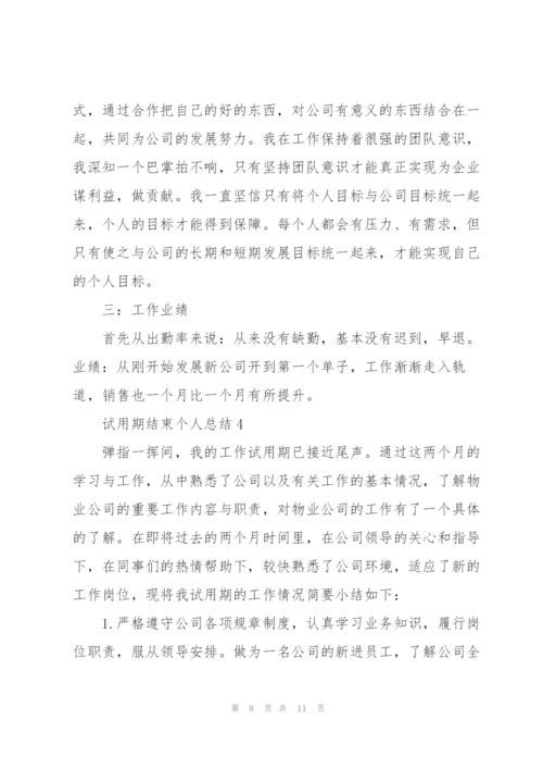 试用期结束个人总结范文.docx