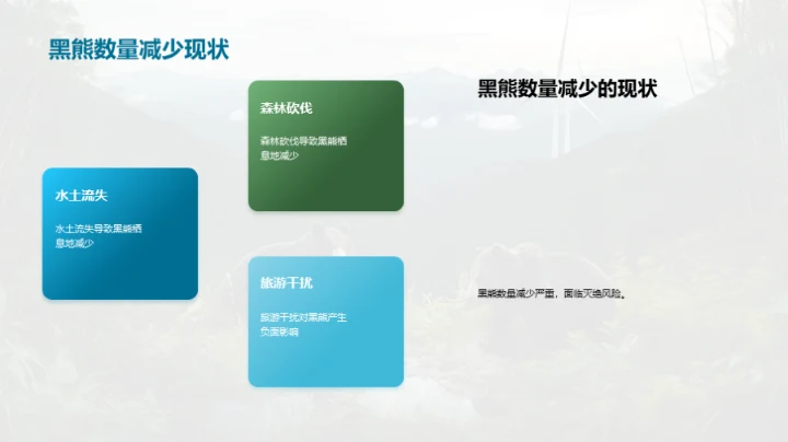 拯救黑熊：生态守望行动