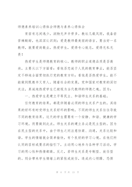 师德素养培训心得体会师德与素养心得体会.docx