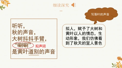 7 听听，秋的声音  课件