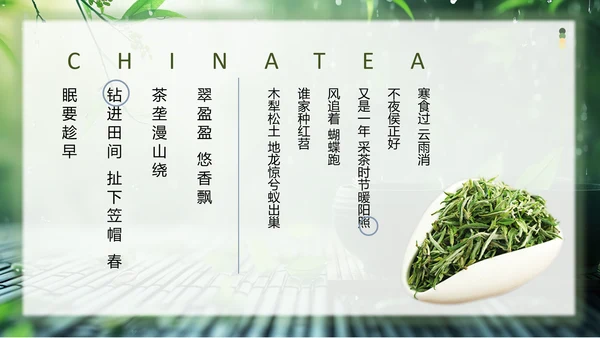 春茶通用PPT模板