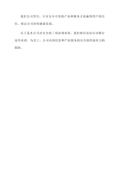 公司对安全的承诺书