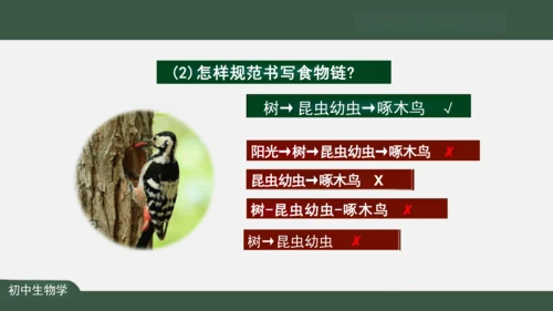 1.2.2 生物与环境组成生态系统 课件（共25张PPT）