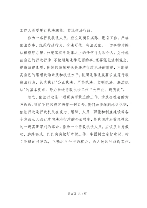 学习依法行政心得体会.docx