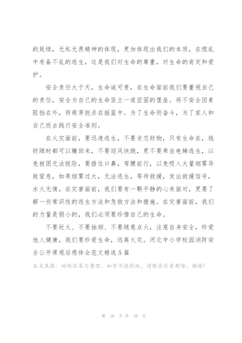 河北中小学校园消防安全公开课观后感体会范文5篇.docx