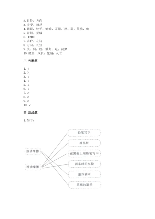 教科版科学三年级下册 期末测试卷【综合卷】.docx