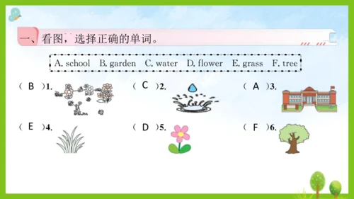 Unit 4 Plants around us 第4课时课件（共19张PPT）