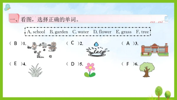 Unit 4 Plants around us 第4课时课件（共19张PPT）
