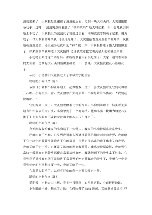 关于聪明的小狗作文锦集十篇.docx