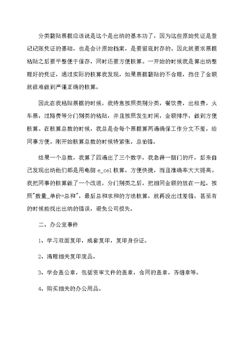 出纳员工个人实习工作总结优秀范文
