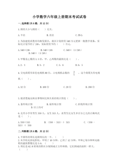 小学数学六年级上册期末考试试卷含完整答案【典优】.docx